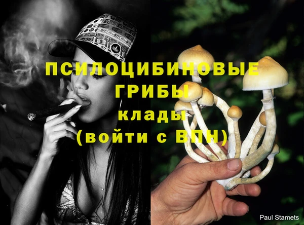 mix Карпинск